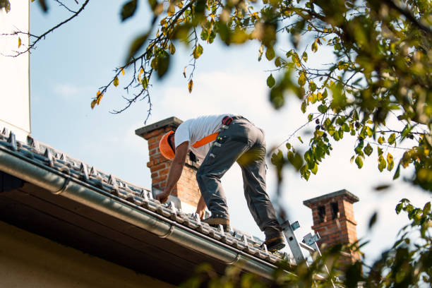 Best Storm Damage Roof Repair  in Hwatha, IA
